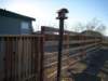 rearfencing_small.jpg
